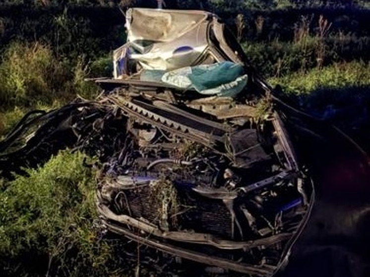 Водитель Nissan Liberty погиб после наезда на грузовик в Омской области