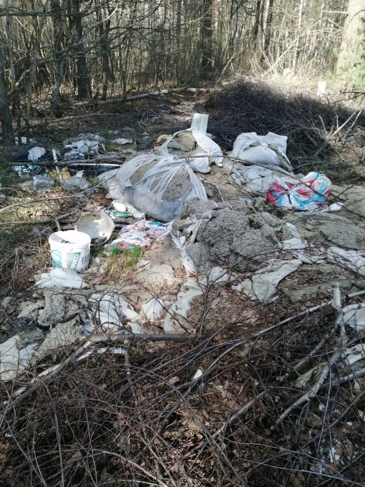 В Петушинском районе ликвидируют свалку на 1000 квадратных метрах