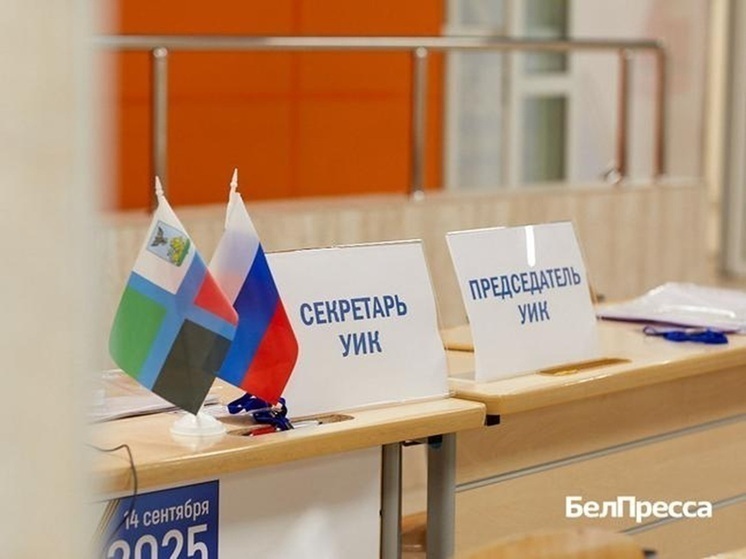 Игорь Лазарев: предварительная явка белгородцев на выборы составляет 57,95 %