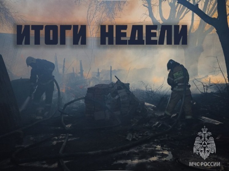 В Астрахани за неделю произошло 109 пожаров