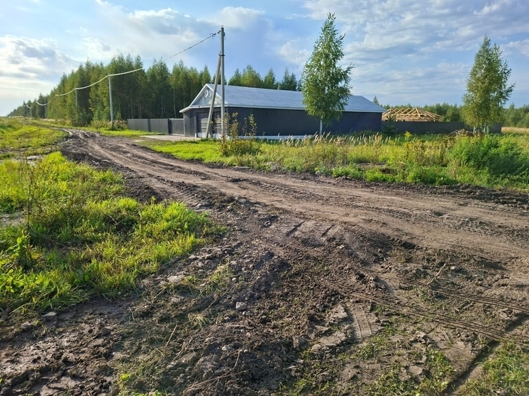 Бастрыкин поручил возобновить дело о нарушении прав семей в деревне Марий Эл