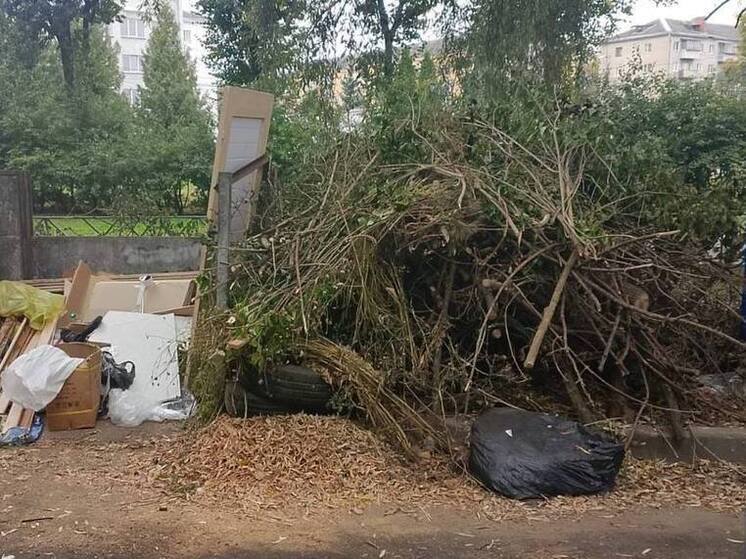 За неделю из Калуги вывезли около 1 600 кубометров нелегального мусора