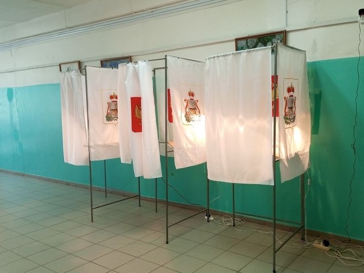 Избирательная комиссия Смоленской области обнародовала предварительные итоги выборов