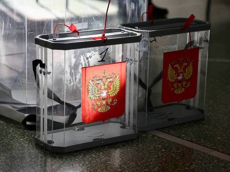 В Челябинской области на выборах проголосовали около миллиона человек