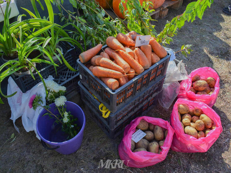 Продуктов на 460 млн рублей продали на ярмарках в Забайкалье