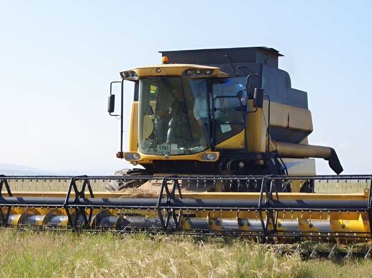 В Хакасии заготовили больше 30 тысяч тонн зерновых культур