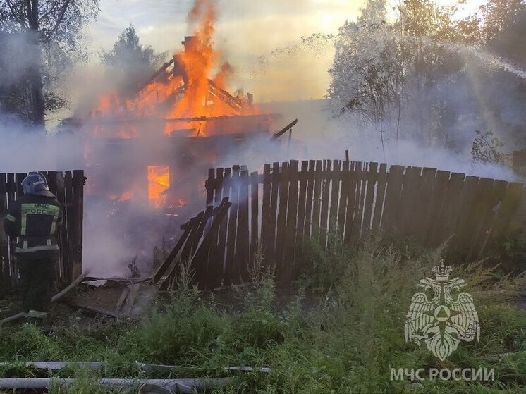 Следователи начали проверку по факту обнаружения погибшего при пожаре в Орехново