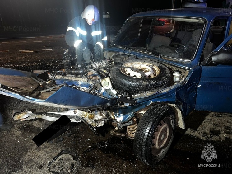 Несколько человек пострадали в тройном ДТП в Бабынинском районе