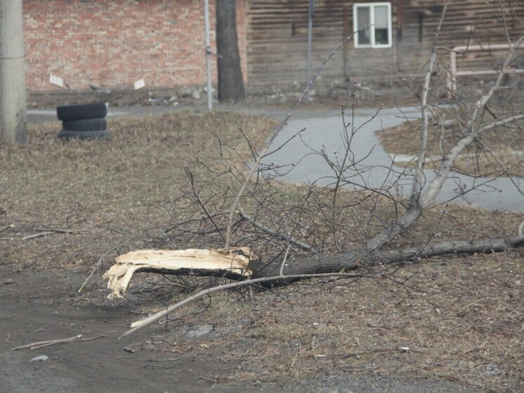 Калининградцам после обеда понедельника пообещали дожди и сильный ветер