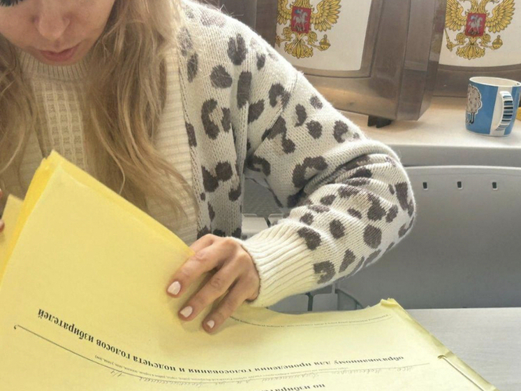 В Новосибирском Горсовете больше нет независимых депутатов