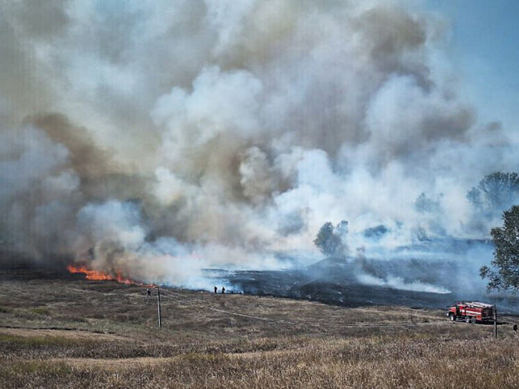 Пожары за выходные уничтожили в ЛНР более 120 га растительности