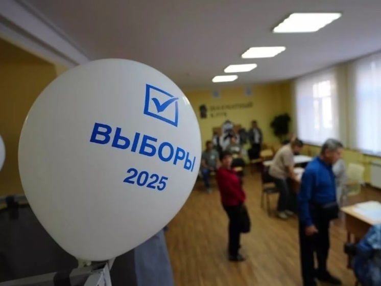 Избирком зафиксировал рекордную явку на выборах губернатора Ростовской области