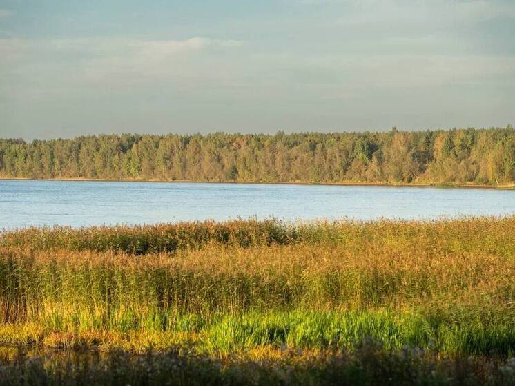 Александр Дрозденко опубликовал фото золотой осени региона