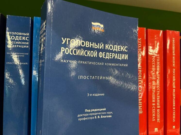 За кражу личных данных в интернете ленинградцев могут наказать по УК