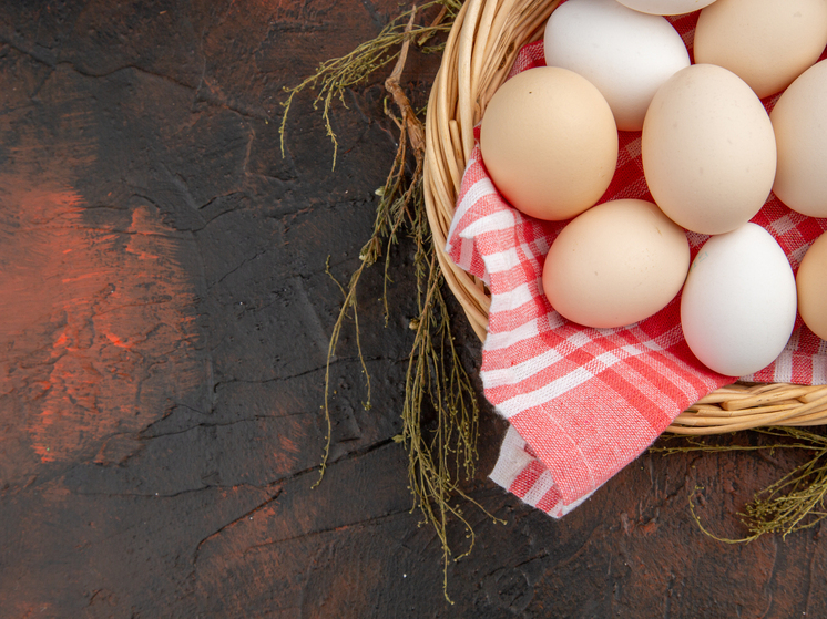 Производитель куриных яиц в ЛНР освоил свыше 300 млн руб. в расширение производства