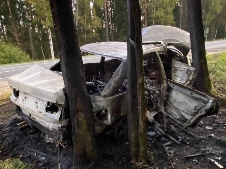 В Ивановском районе загорелась врезавшаяся в дерево иномарка