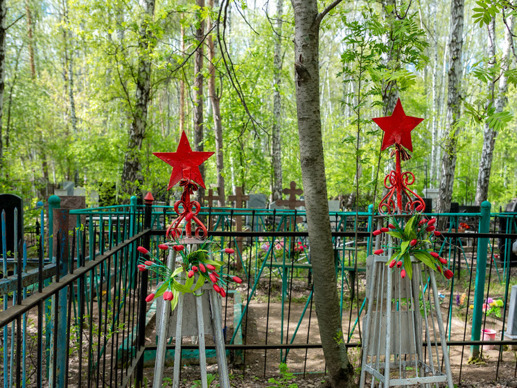Медведь разорил кладбище под Златоустом