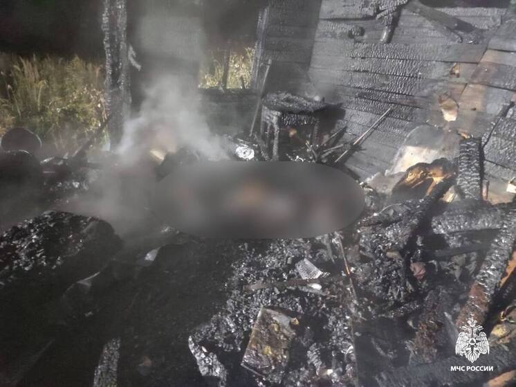 Во время пожара в дачном доме Тверской области погибла женщина