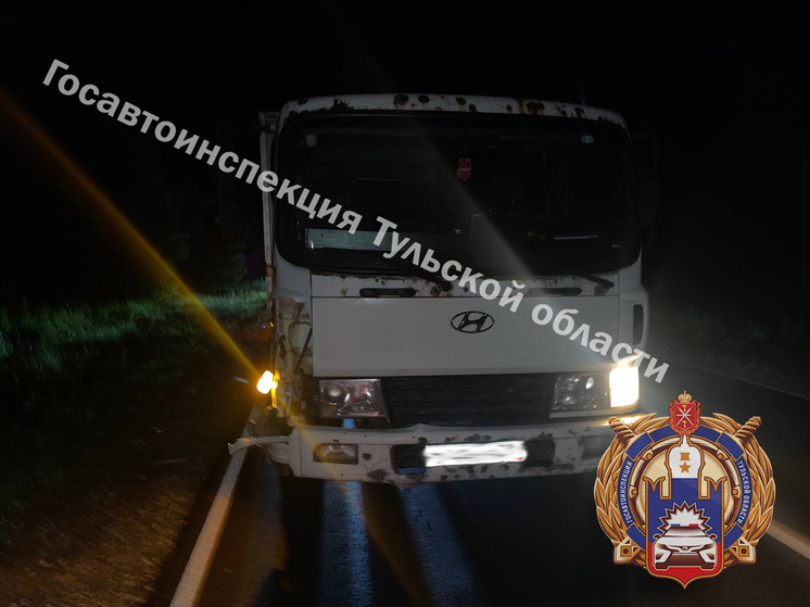 Водитель «Хендай» на дороге под Тулой задавил пешехода в темноте