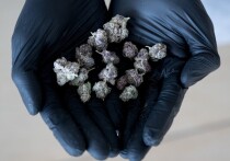 Необычное хобби едва не стало причиной реального заключения жителя Грязовца Вологодской области