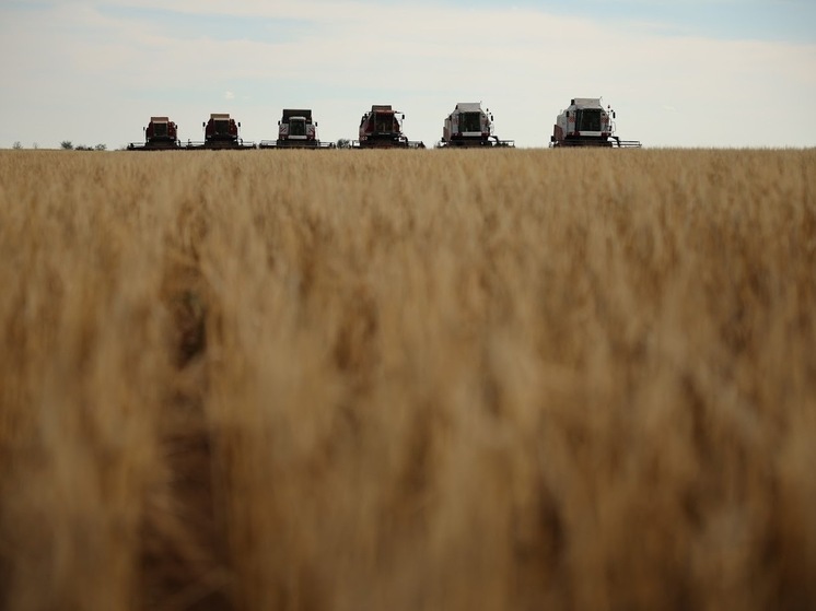 Волгоградская область экспортировала свыше 250 тысяч тонн растительной продукции