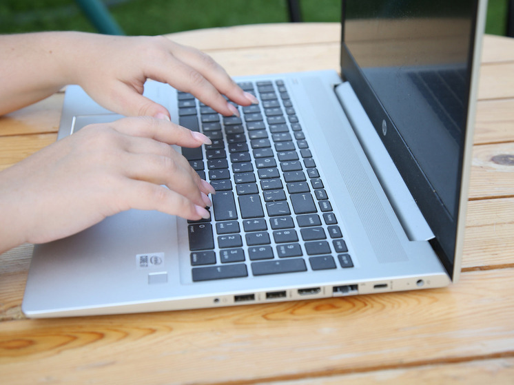 В Подмосковье участились случаи мошенничества с поддельными сайтами господдержки