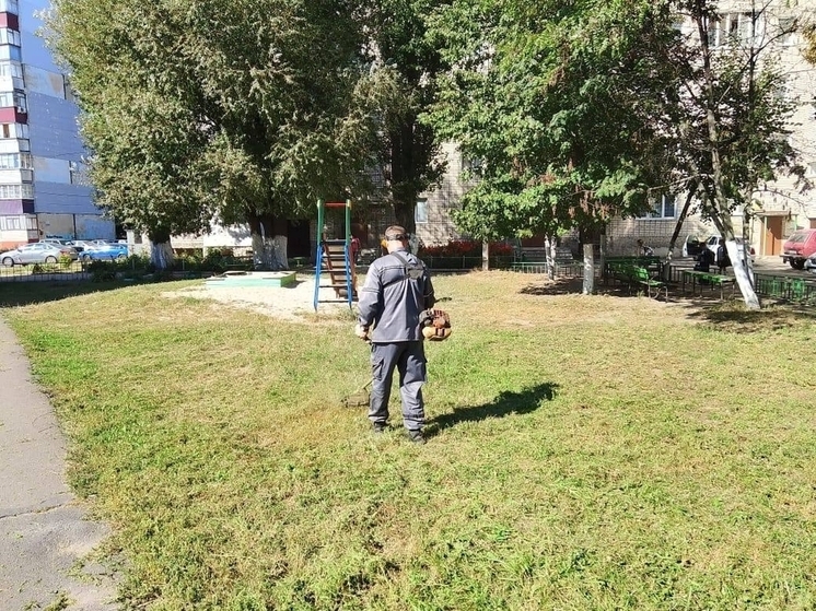 В Курске выявили 12 нарушений при проверке дворов многоэтажек