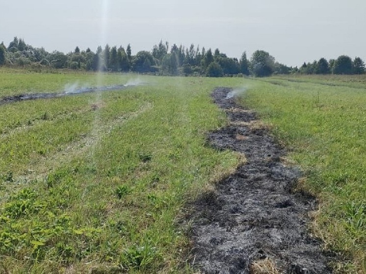 В Ярославской области ухудшилась пожароопасная обстановка