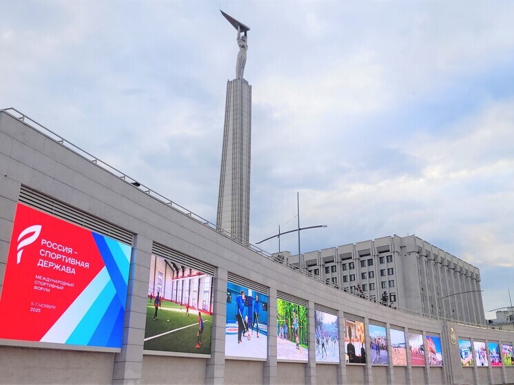 В Самаре начали 50-дневный отсчет до старта спортивного форума «Россия — спортивная держава»