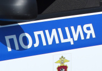 Выяснились подробности инцидента со стрельбой на северо-западе Москвы. Столичный восьмиклассник выстрелил из ракетницы в лоб своему оппоненту  на детской площадке на улице Вилиса Лациса. 