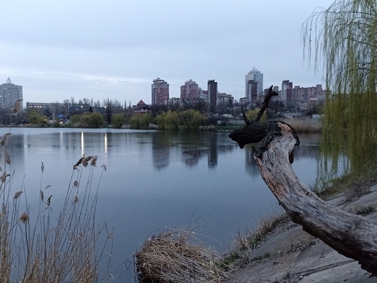 Прибрежные территории Донецка обсудят на Всероссийском образовательном проекте "Моя река"