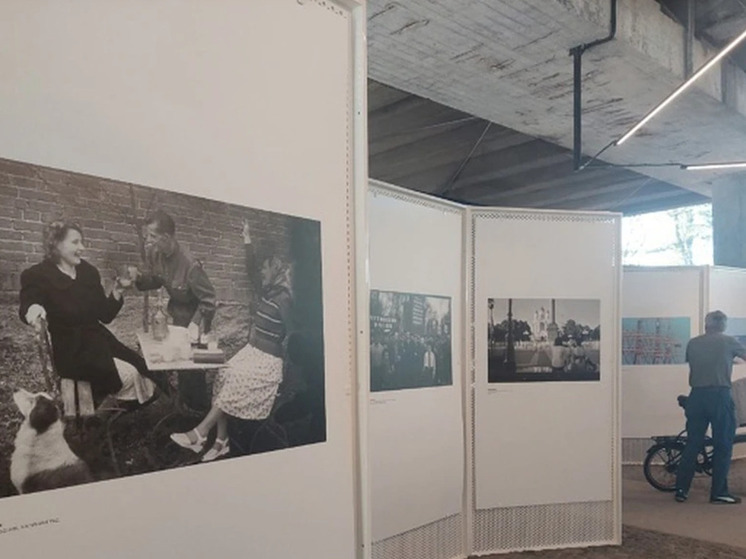 На острове Канта под мостом поселились фотографии