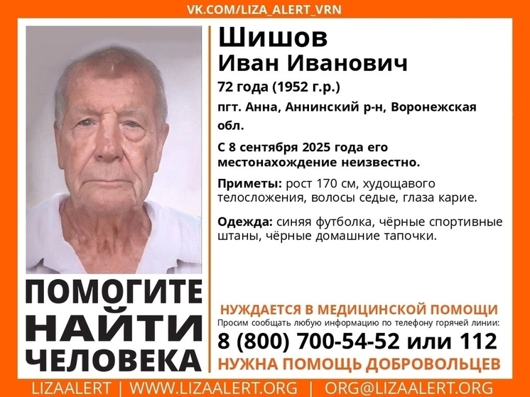 В Воронежской области разыскивают пропавшего пенсионера в тапочках
