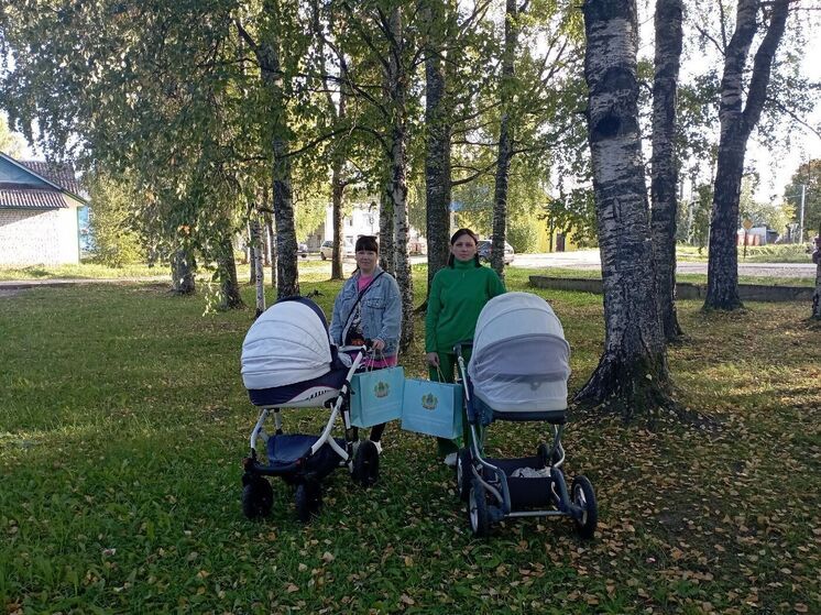 Еще двумя многодетными семьями пополнилась кострмоская земля