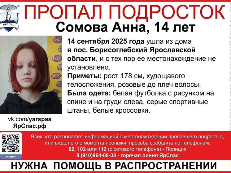 В Ярославской области потерялась девочка модельной внешности