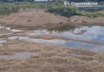 В Алтайском крае продолжаются работы по добыче песка на берегах реки Алей, несмотря на неоднократные обращения в прокуратуру и природоохранные ведомства