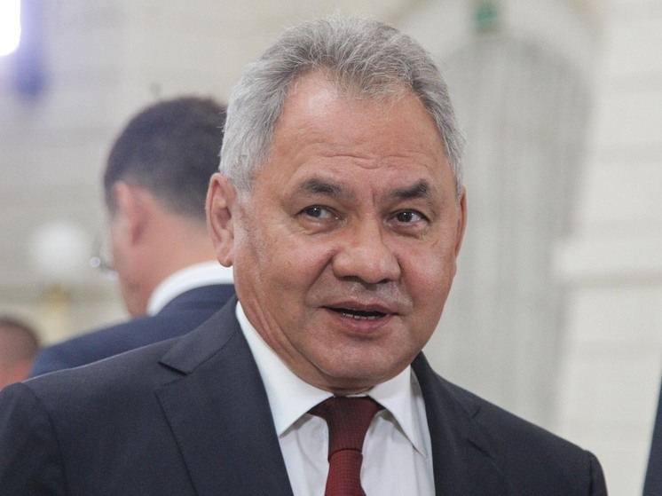 Секретарь Совбеза России Сергей Шойгу прибыл с рабочей поездкой в Багдад