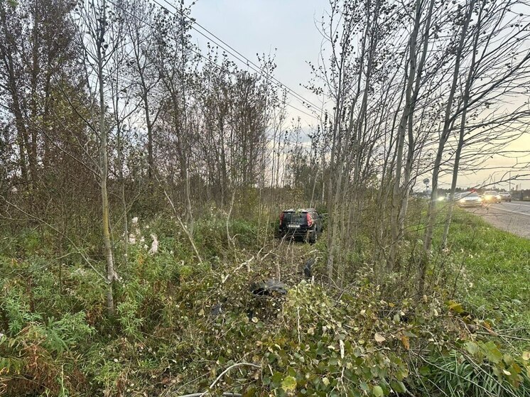В Гатчинском районе водитель скончался в ДТП от сердечного приступа