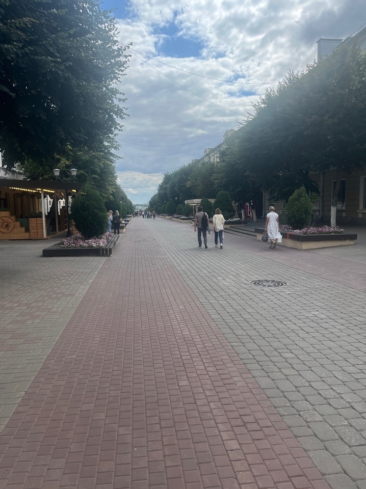 Росмолодёжи предложили пилотировать в Орловской области проект молодёжного предпринимательства