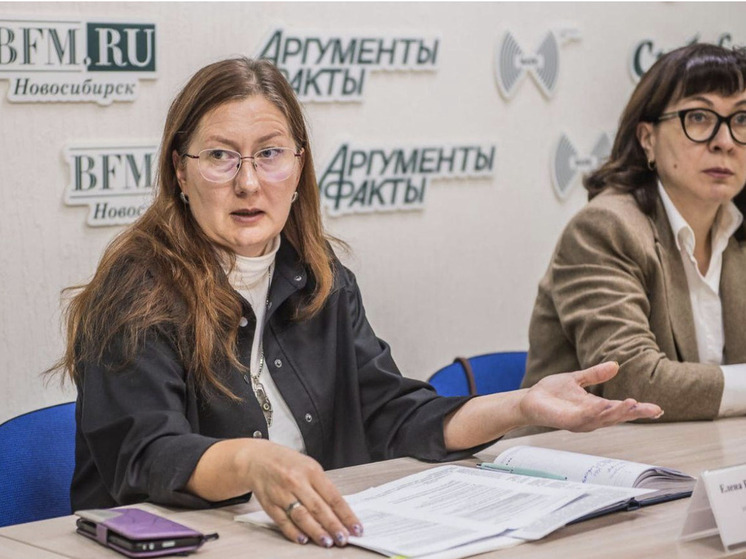 Новосибирские эксперты раскрыли легальные способы снижения налоговой нагрузки