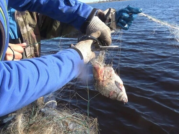 В Запорожской области осудили двух браконьеров