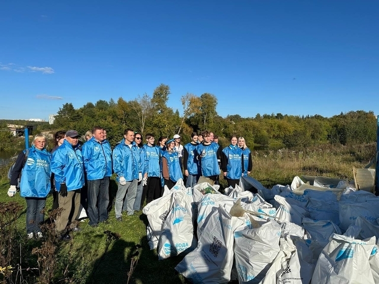 На берегу реки Содышка во Владимире прошел субботник