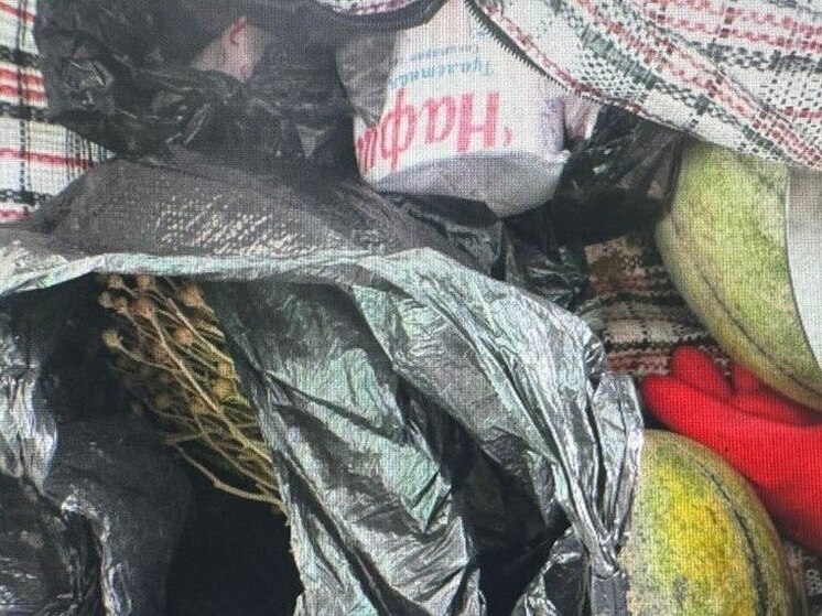 В Новосибирске возбудили уголовное дело по факту контрабанды наркотических средств