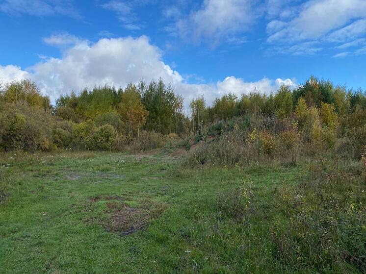 В Каргасокском районе прокурор помог навести порядок у взлетной полосы