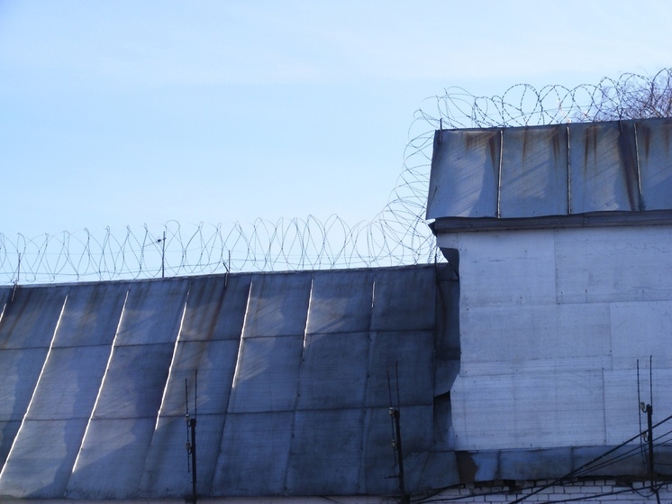 Два несовершеннолетних жителя Вологды лишены свободы за распространение наркотиков