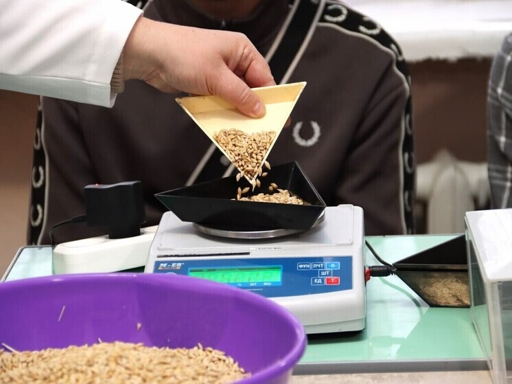 Новые кадры для села: в ЛНР открыли 17 агротехнологических классов за три года