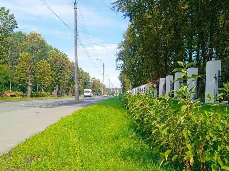 В одиннадцати парках и скверах Новосибирска появятся тысячи новых деревьев и кустарников