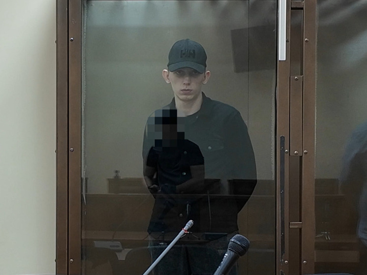 Житель Подмосковья приговорен к 15,5 годам колонии за диверсию по заданию Украины