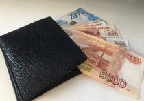 В 2026 году в Воронежской области ожидается корректировка размеров социальных выплат, предназначенных для поддержки семей с детьми. Согласно информации, опубликованной на портале «Госуслуги», повышение будет проводиться в два этапа: первый стартует 1 января, второй – 1 февраля
