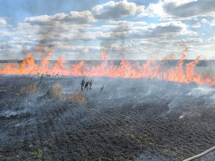 В Марий Эл пожарные и фермеры остановили пожар в поле